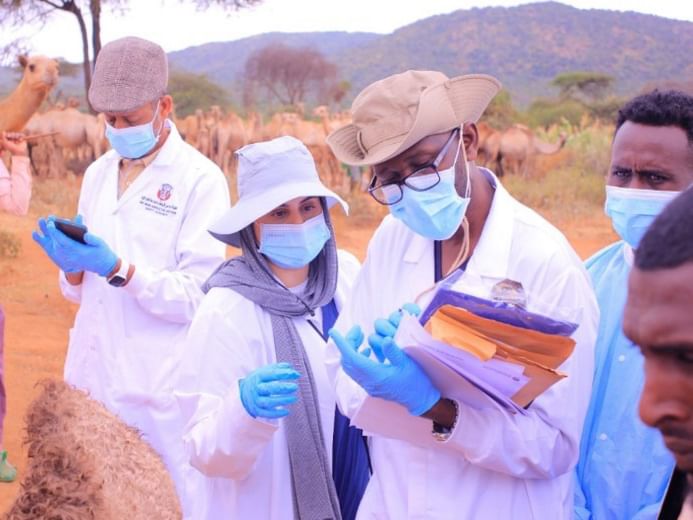 WOAH Centre for Camel Diseases detects likely cause of Ethiopia camel deaths (Image/WAM)
