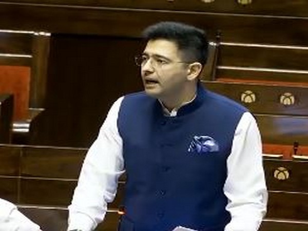 AAP MP Raghav Chadha (Photo: Sansad TV)