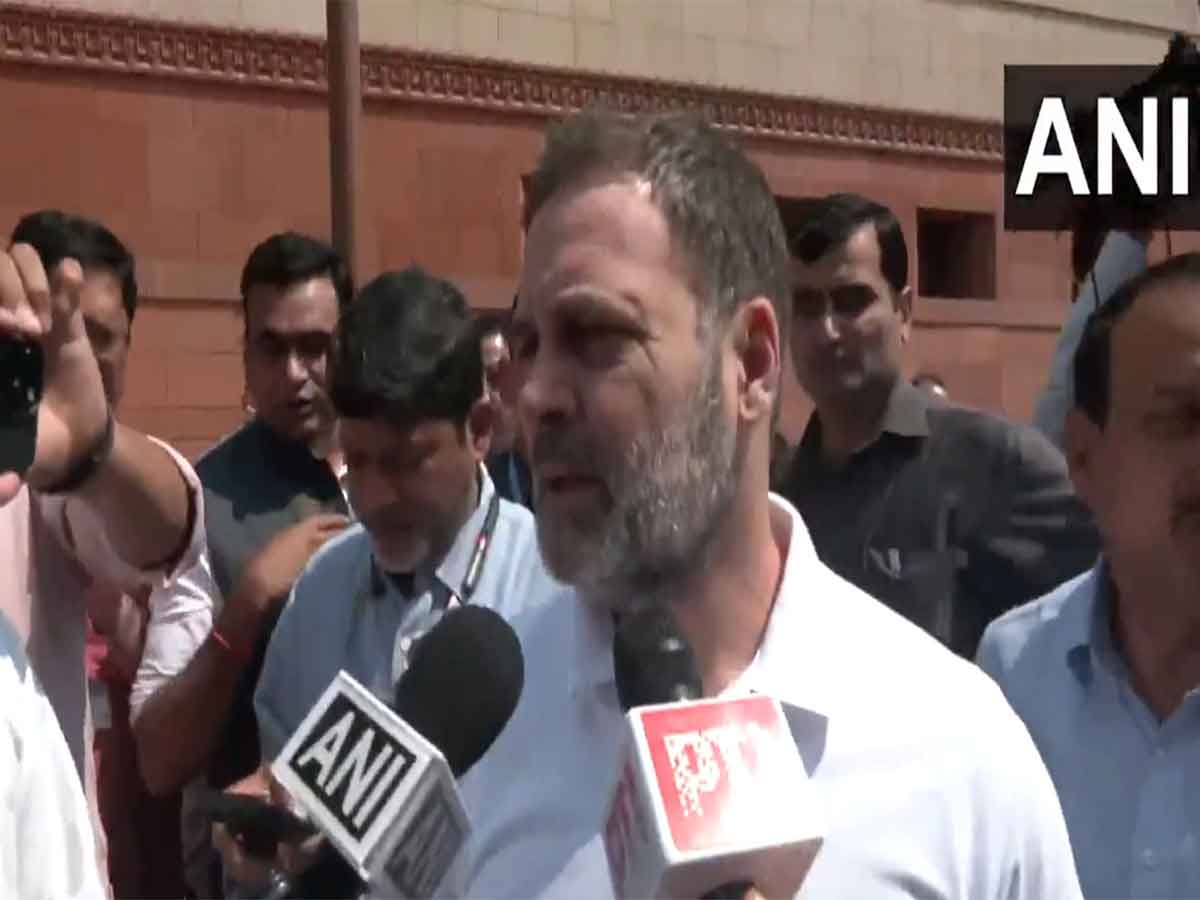 Lok Sabha LoP and Congress leader Rahul Gandhi (Photo/ANI)