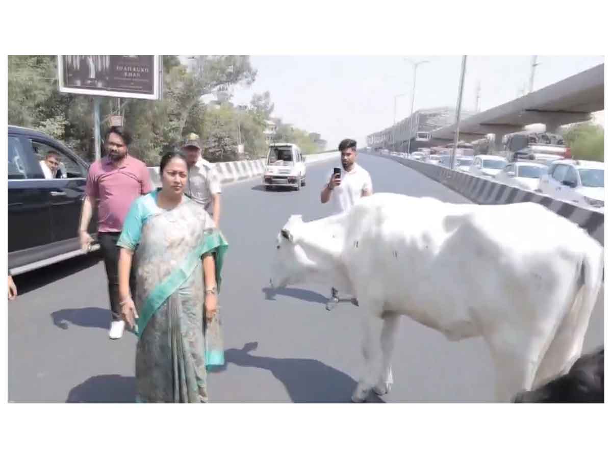 Delhi CM Rekha Gupta (Photo/ANI)