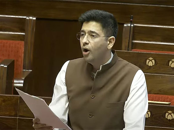 AAP MP Raghav Chadha (Photo: Sansad TV)