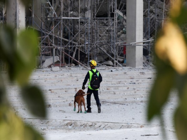 A member of the rescue personnel walks with a dog near a building that collapsed (Image/Reuters)