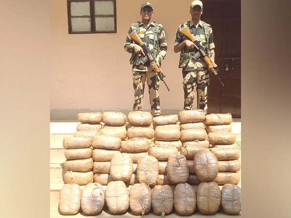 BSF foils drug smuggling attempt in Tripura's Sepahijala district. (Photo/ANI)