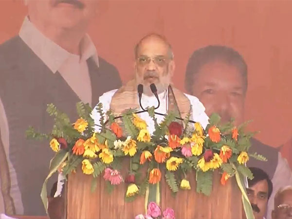 Union Home Minister Amit Shah (Photo/ANI)