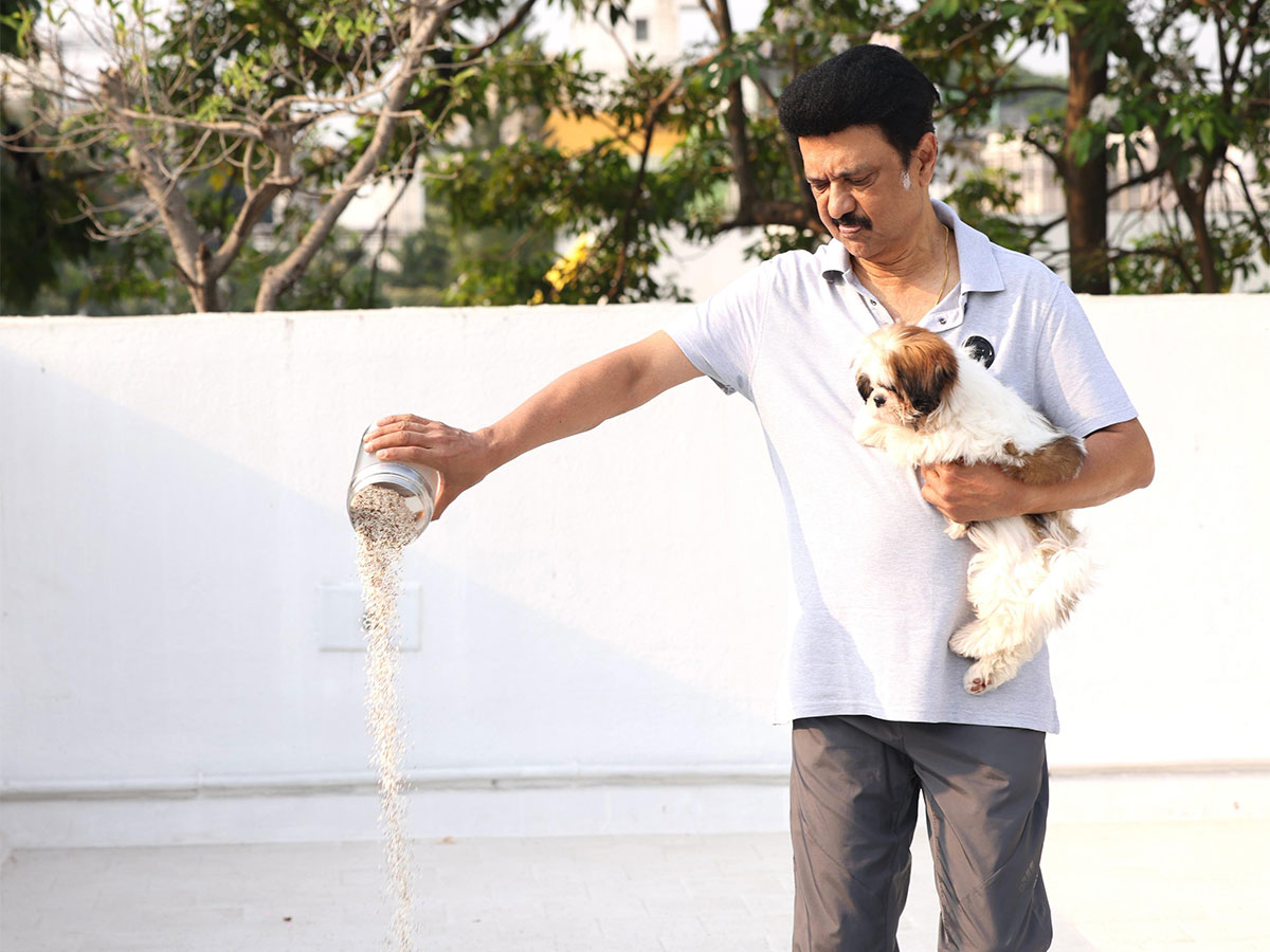 Tamil Nadu Chief Minister MK Stalin (Photo/@mkstalin)