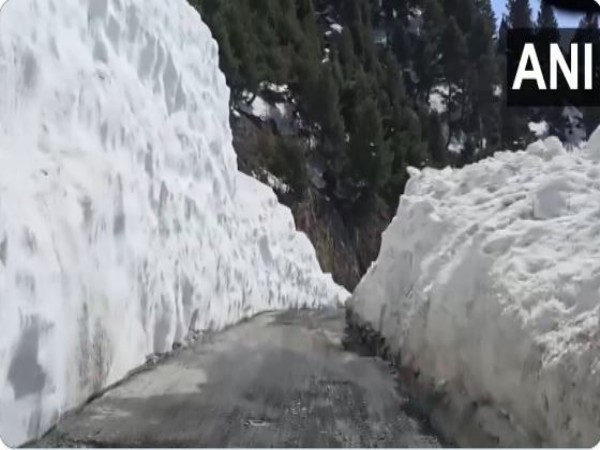 A visual from spot (Photo/ANI)