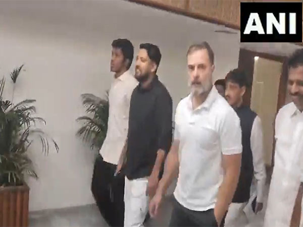 Rahul Gandhi holds meeting with Congress Lok Sabha MPs (Photo/ANI)
