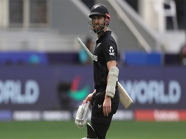 Kane Williamson (Photo: ICC)