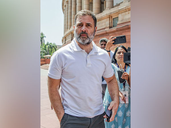 Lok Sabha Leader of Opposition Rahul Gandhi (File Photo/ANI)