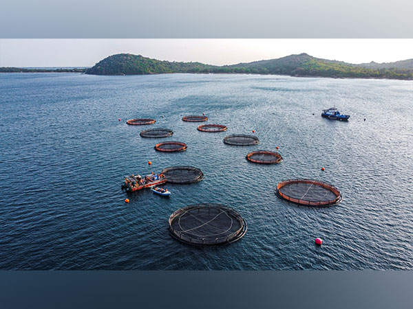 Empire Foods and Oceanpick Team Up to Bring Premium Round Island Barramundi to India's Food Service Scene