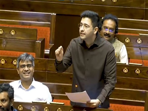 Aam Aadmi Party (AAP) MP Raghav Chadha (Photo/ANI)