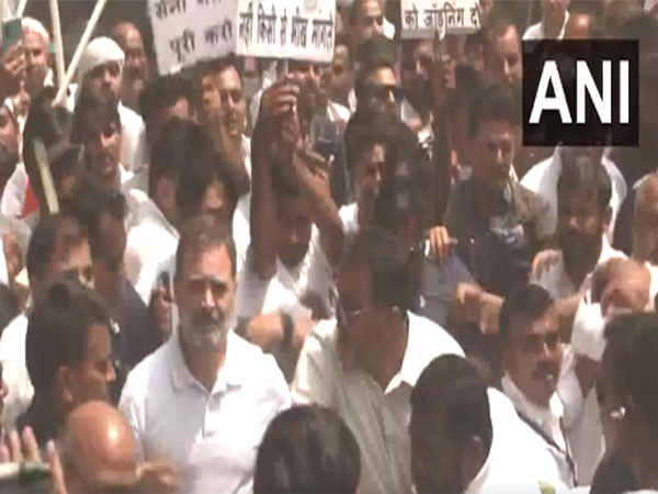 Lok Sabha Leader of Opposition Rahul Gandhi and Congress MP Rahul Gandhi (Photo/ANI)