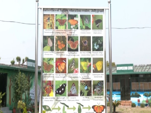 Uttarakhand opens its first butterfly gallery in Dehradun (Photo/ANI)