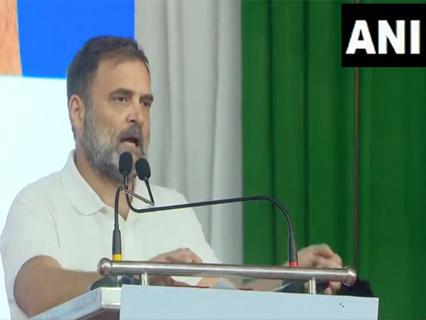 Leader of Opposition in Lok Sabha, Rahul Gandhi (Photo/ANI)