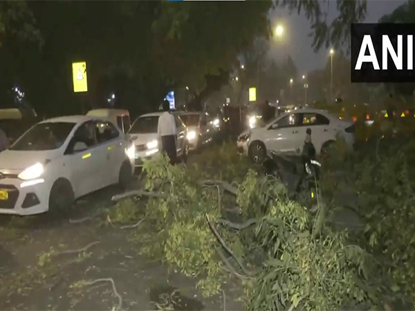 Tree falls in Delhi's Mandi House after dust storm (Photo: ANI)