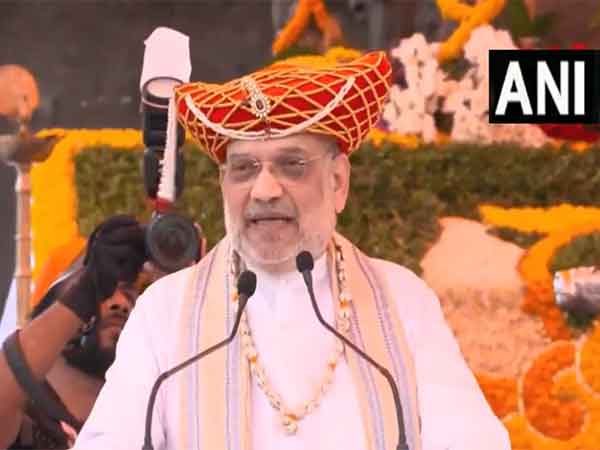 Union Home Minister Amit Shah (Photo/ANI)