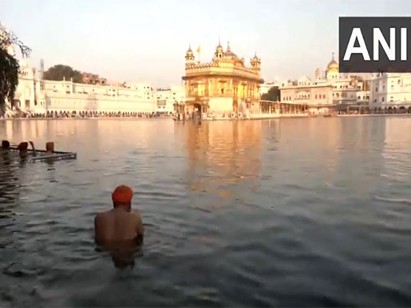 Devotees take holy dip in 'sarovar' at Golden Temple in Amritsar. (Photo/ANI)