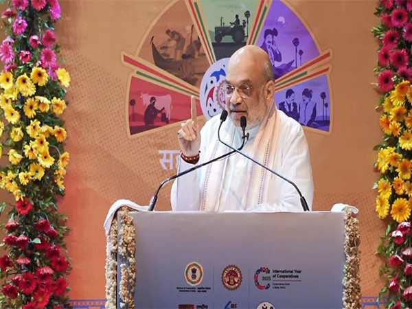 Union Home Minister Amit Shah. (Photo/ANI)