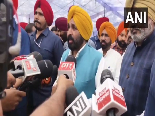 Punjab Chief Minister Bhagwant Mann (Photo/ANI)