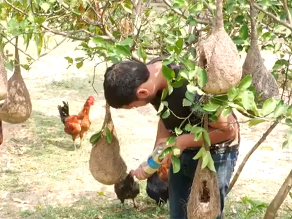 Amrit at his farm in Lehnu in Udhampur, J-K. (Photo/ ANI) 