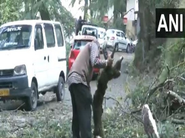 Roads blocked due to fallen trees (Photo/ ANI) 