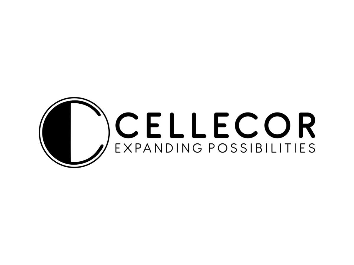 Cellecor Gadgets Ltd crosses ₹1,000 crore revenue milestone in FY25