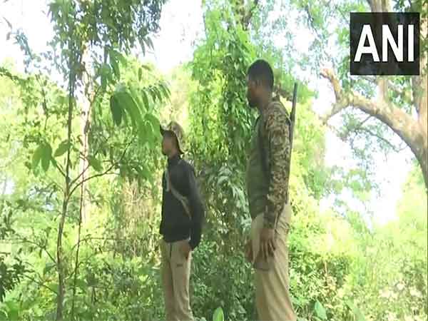 Forest officials at North Bengal University (NBU) campus near Siliguri (Photo/ANI)