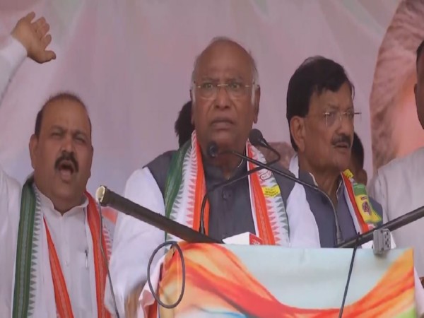 Congress president Mallikarjun Kharge. (Photo/ANI)