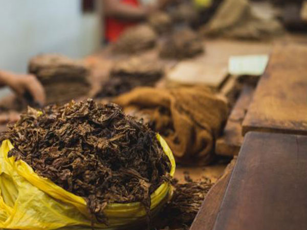 Representative Image (Image/Pexels)