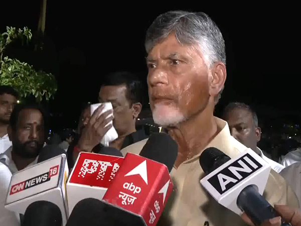 Andhra Pradesh Chief Minister N Chandrababu Naidu Photo/ANI)