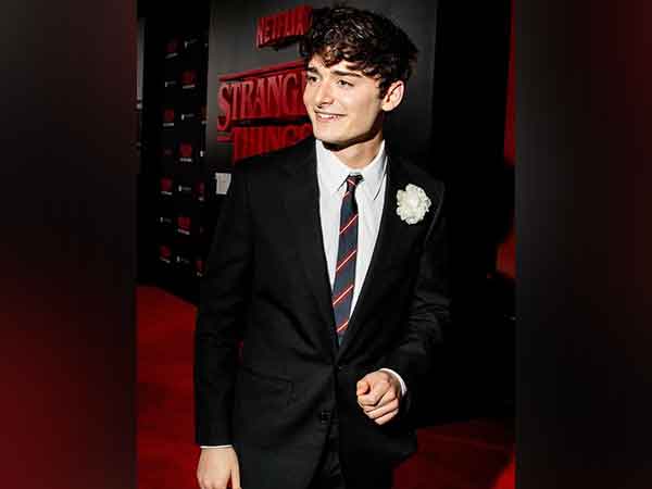 Noah Schnapp (Photo/instagram/@noahschnapp)