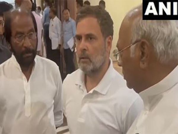 Lok Sabha Leader of the Opposition and Congress MP Rahul Gandhi. (Photo/ANI)