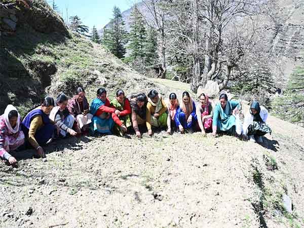 Himachal Pradesh's Pangi valley announced as state's first sub-division of natural farming (Photo: Himachal Pradesh CMO)
