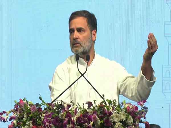 Lok Sabha LoP Rahul Gandhi (Photo/ANI)