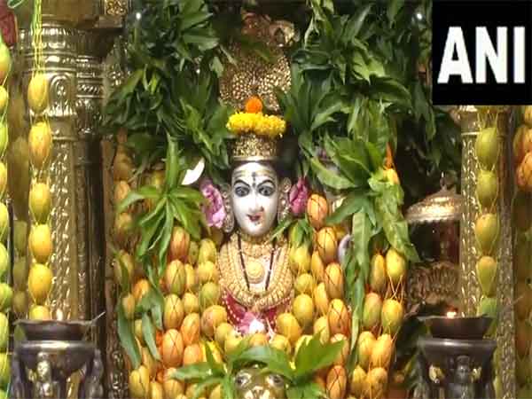 Mumba Devi Temple decorated with mangoes (Photo/ ANI)