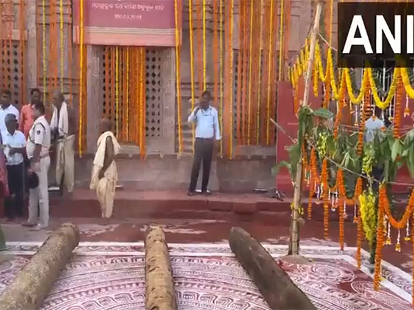  Lord Jagannath's chariot construction begins for the annual Rath Yatra in Puri, Odisha (Photo/ANI) 