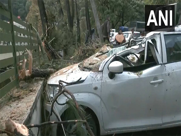 Damaged Vehicle in Shimal after the rainfall (Photo/ANI)