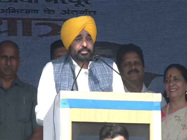 Punjab CM Bhagwant Mann (Photo: ANI)