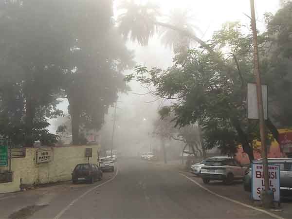 Unseasonal fog covers Mount Abu roads. (Photo/ ANI)