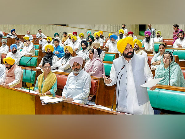 Punjab CM Bhagwant Mann at the state Legislative Assembly. (File Photo/ANI)