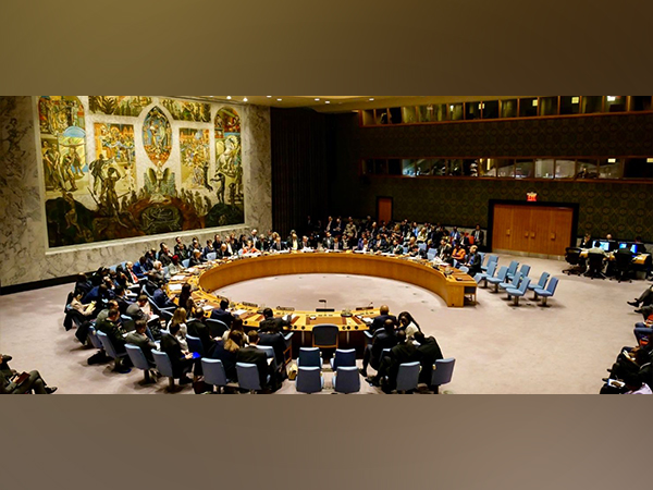United Nations Security Council (File Photo) (Image Credit: X@FranceinIndia)