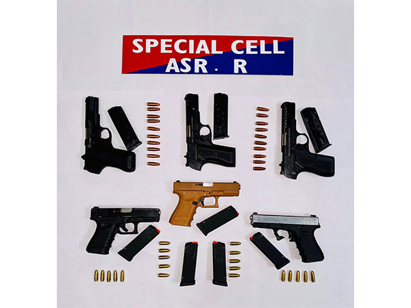 Arms recovered from the accused (Photo/ @DGPPunjabPolice)