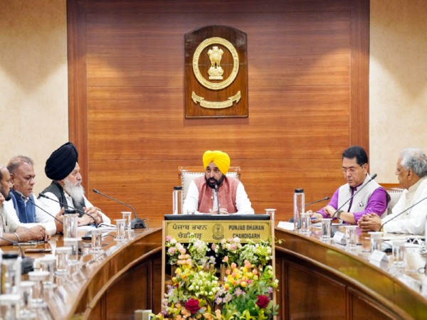 Punjab CM Bhagwant Mann (File photo/ANI)