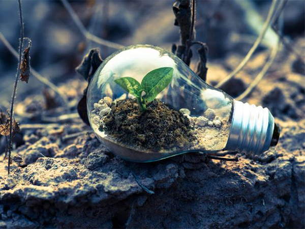 Representative Image (Image/Pexels)