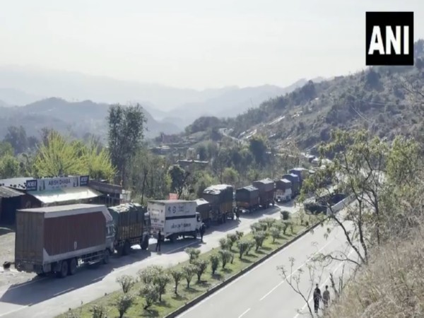 Stranded vehicles on the highway (Photo/ANI)