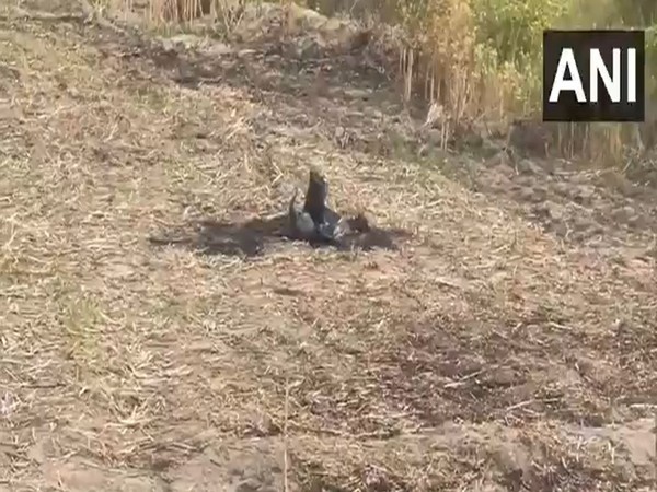 Fragments of projectile retrieved at Nall village in Punjab's Mansa (Photo/ANI)