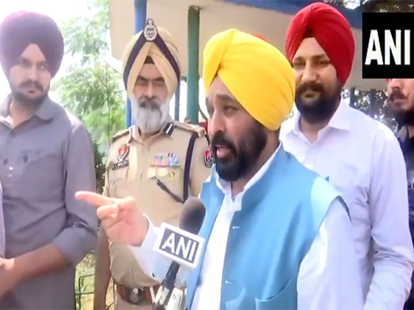 Punajb Chief Minister Bhagwant Mann (Photo/ANI)