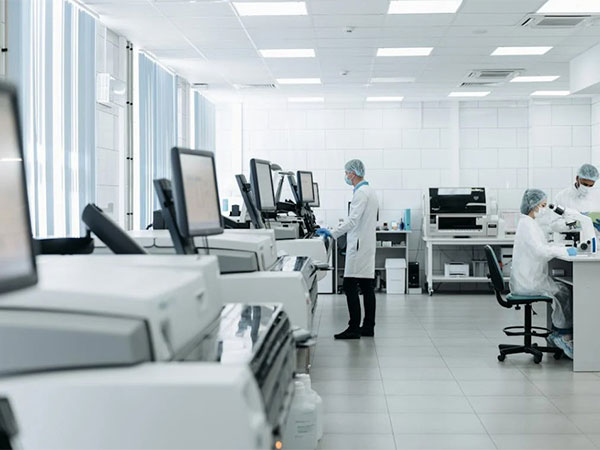 Representative Image (image source: Pexels) 