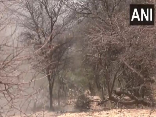 A suspicious object recovered by the Jaisalmer Police (Photo/ANI)