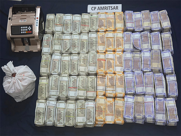 Recovered cash (Photo/X@DGPPunjabPolice) 